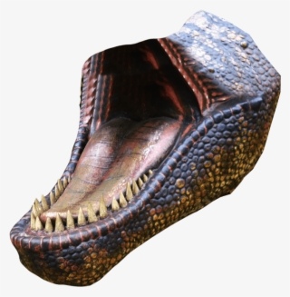 T-rex - Leather