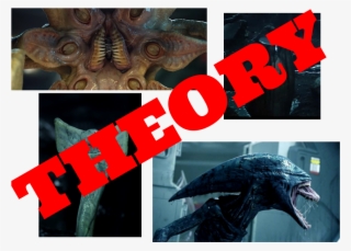 Here's My Protomorph Theory - Xenomorfo Alien