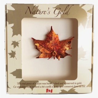 Maple Leaf Brooch - Real Maple Leaf Brooch