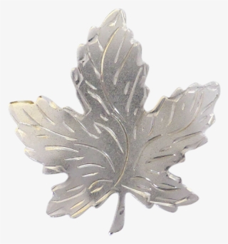 Sterling Silver Canadian Maple Leaf Brooch- Signed - Maple Leaf