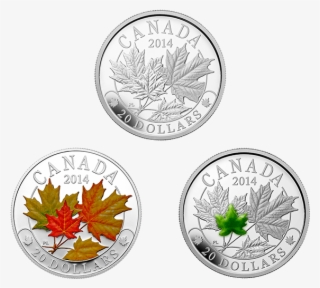 Fine Silver 3-coin Subscription Majestic Maple Leaves - Maple Leaf