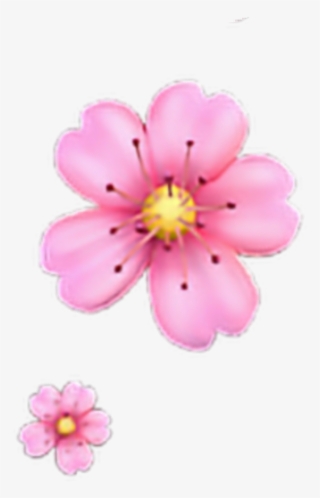 Freetoedit Floweremoji Flower Emoji Iphone Iphoneemoji - Garden Cosmos