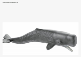 New Official New Schleich Sperm Whale Wild Nature Life - Pottwal Schleich