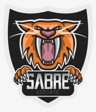sabre esports - illustration