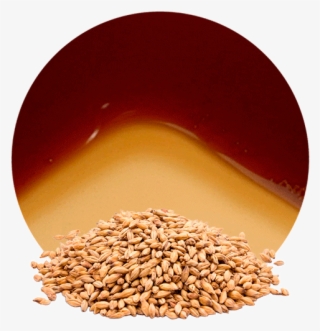 Com/wp Concentrate - Emmer