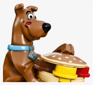Aplicação - Companion Dog