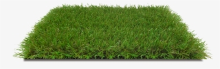Italgreen Landscape Erba Sintetica Giardino Wild - Pelouse Png