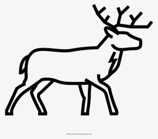 Deer Coloring Page - Drawing