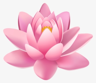 Free Png Pink Lily Flower Png Images Transparent - Spa Background