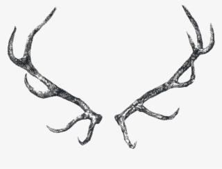 Drawn Horns Png Tumblr - Antlers Drawing