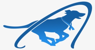 Wild Blue Dogs, A 501 3 Nonprofit For Canine Cancer