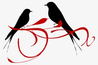Free Png Download Red Love Birds Png Images Background - Clipart Bird Image Black And White