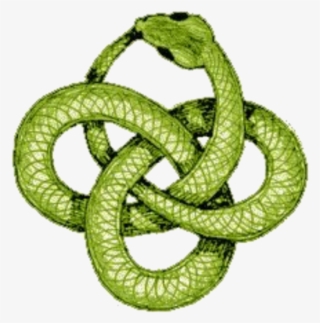 Green Snake Png
