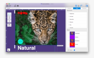 To Recreate The Stylish Translucency Effects Seen In - Leopard