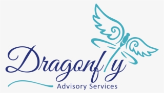 Our Latest News & Tips - Happy New Year Dragonfly