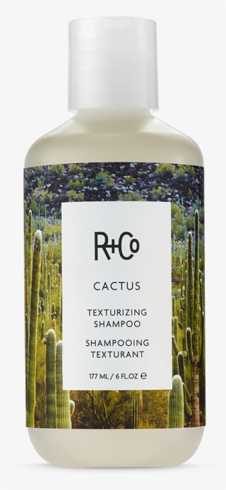 Getting Texture Can Be Rough, But Cactus Makes It Easy - R Co