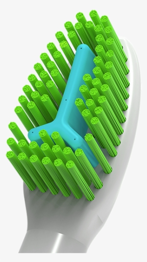This Is One Of The Most Important Parts Of Ivmax Toothbrush - Rake