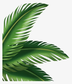 Free Download Shipwrecked Vbs Palm Tree Clipart Palm - Shipwrecked Vbs Palm Tree
