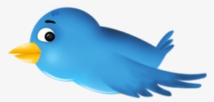 Bird Gif Animation Png - Bird Animation Gif Png Transparent PNG - 360x360 -  Free Download on NicePNG