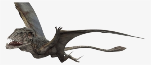 Dimorphodon - Pteranodon Jurassic World Png