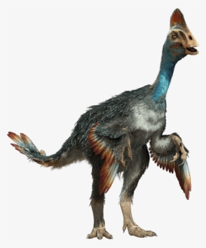 Hold On To Your Butts- Dinosaurs Are Making A Comeback - Chirostenotes Png