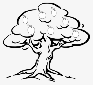 28 Collection Of Easy Apple Tree Drawing - Fruit Tree Clipart Black And White
