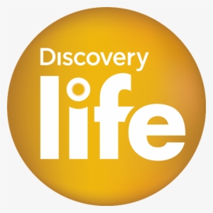 Discovery Life Logo Png