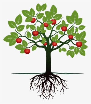 Apple Tree Cartoon Png - Tree Vector