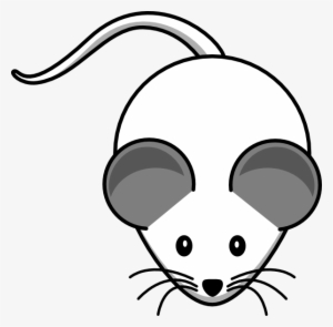 How To Set Use White Mouse Both Grey Ears Icon Png