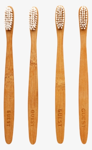 Guest, Bamboo Toothbrush Set-0 - Bamboo Toothbrush India