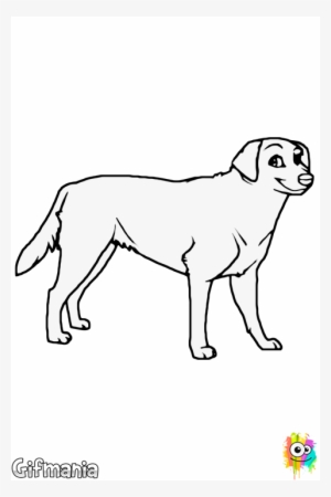 Dogs Vector Labrador - Desenho Labrador Preto Png