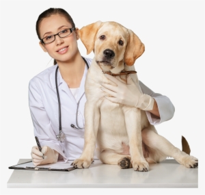 Paw Print Genetics - Healthy K9 Hips Glucosamine For Dogs - With Bonus Flash