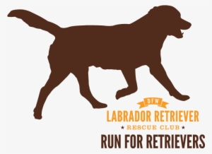 Run For Retrievers Logo