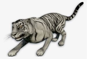 Far Cry 4 Tiger Png