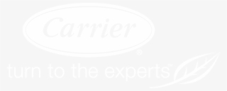 Factory Auth Dealer - Calligraphy