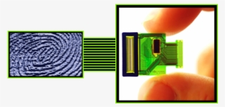 Ultrasound Biometric Technology, Delivering Secure - Sonavation Fingerprint Png