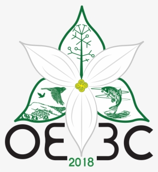 Oe3c Logo - Illustration