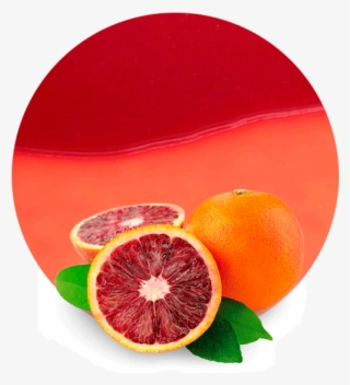 blood orange is a variety of orange with a crimson, - arance moro di sicilia