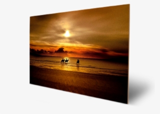 Beach & People With Sunset - Caballos En La Playa Atardecer