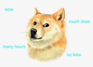 Shibe Photo - Doge Such Wow Png