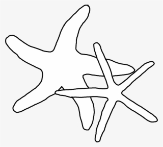 1 Calendar Sea Stars 3,300×2,400 Pixels Stencil Patterns,