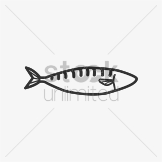 Lebanon Clipart Fish - Pacific Sturgeon