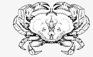 1000 X 714 7 - Cancer Crab