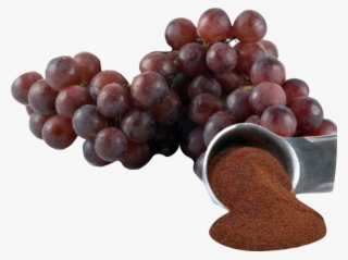 Uva-farinha - Opc Grape Seed Extract Benefits
