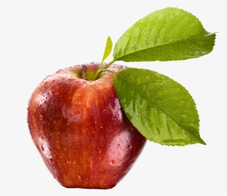 apple png royalty-free image - apple
