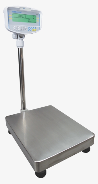 Gfc Floor Counting Scales - Weighing Scale