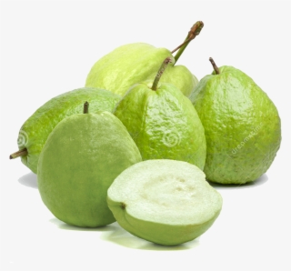 Guava - Hình Ảnh Trái Ổi
