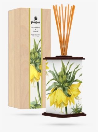Bloombarrel Home Fragrance Reed Diffuser Grapefruit - Diffuser Water Lily