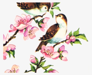 Love Birds Clipart Pretty Bird - Free Vintage Bird Png