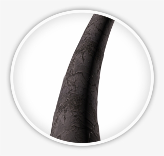Damaged Hair Strand - Bangle